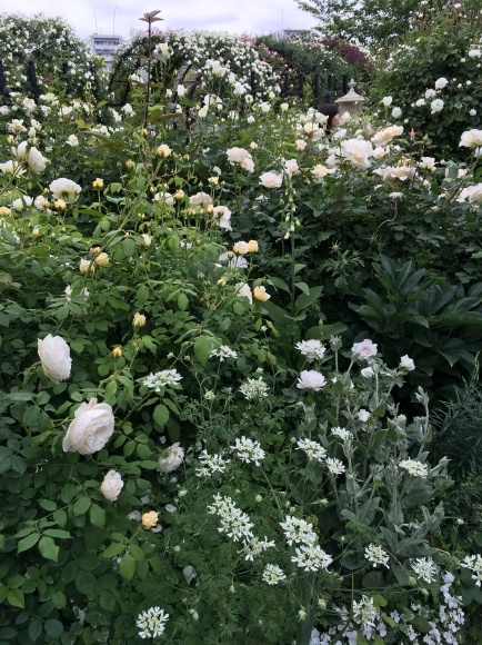 f0231829_17052255.jpeg