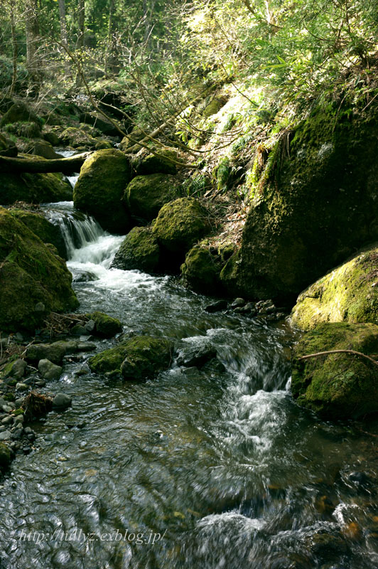 d0108132_2305514.jpg