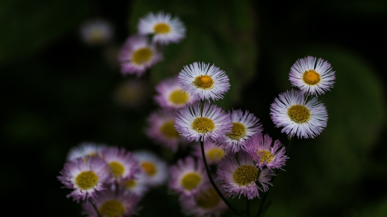 d0060435_21534273.jpg