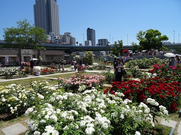 b0299042_14232649.jpg