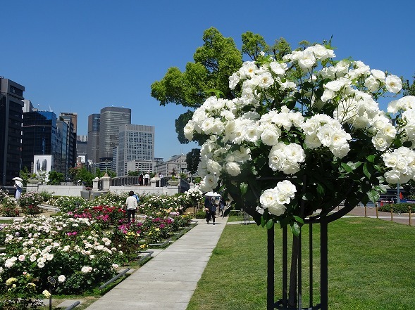 b0299042_14234572.jpg