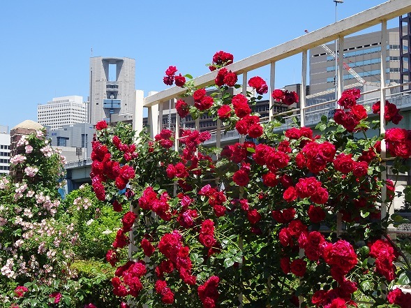 b0299042_14244052.jpg