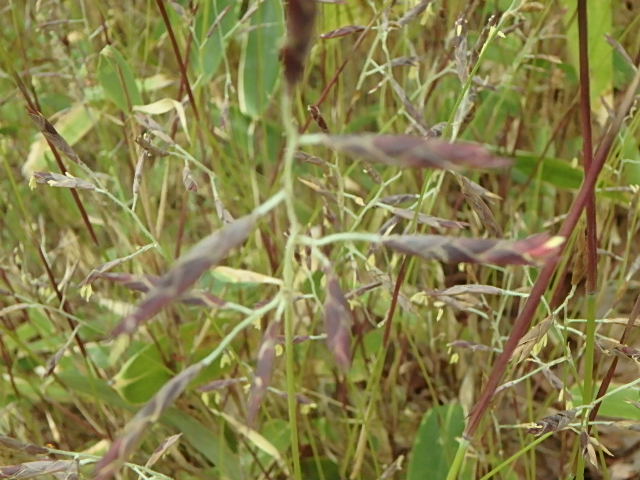 f0334143_749742.jpg