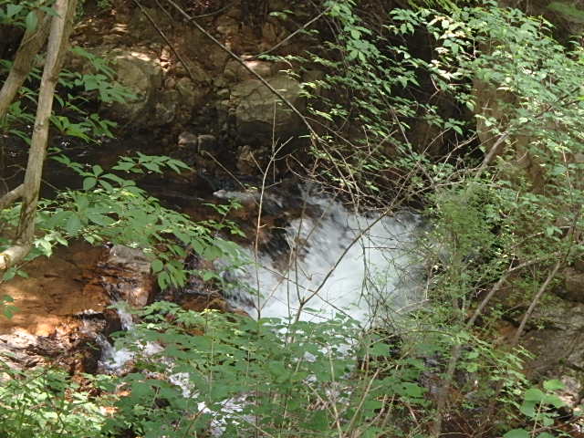 f0334143_7511723.jpg