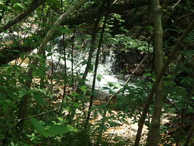f0334143_7514248.jpg