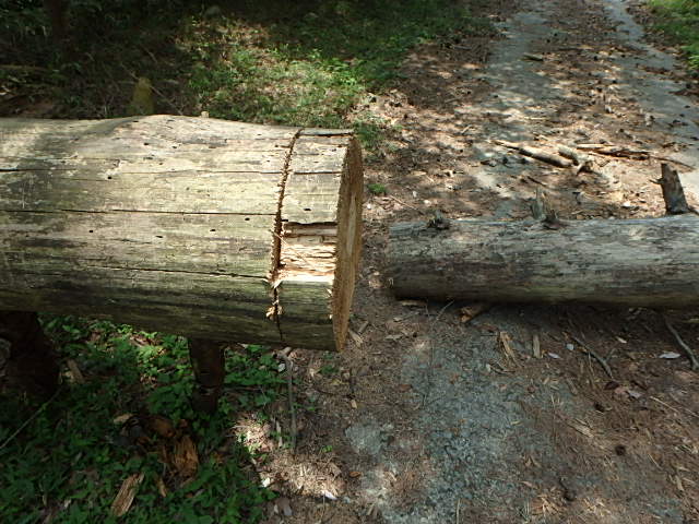 f0334143_7554961.jpg
