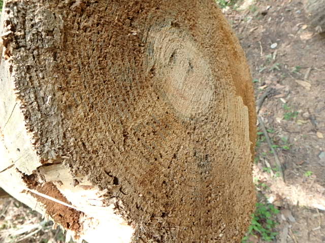 f0334143_756183.jpg