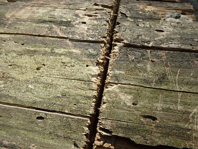 f0334143_7593662.jpg