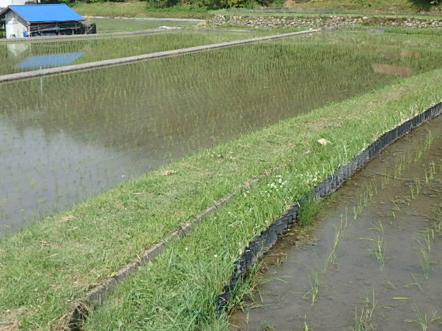 f0334143_801629.jpg