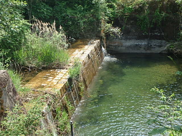 f0334143_855935.jpg