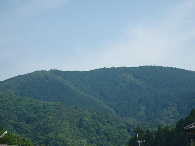 f0334143_882674.jpg