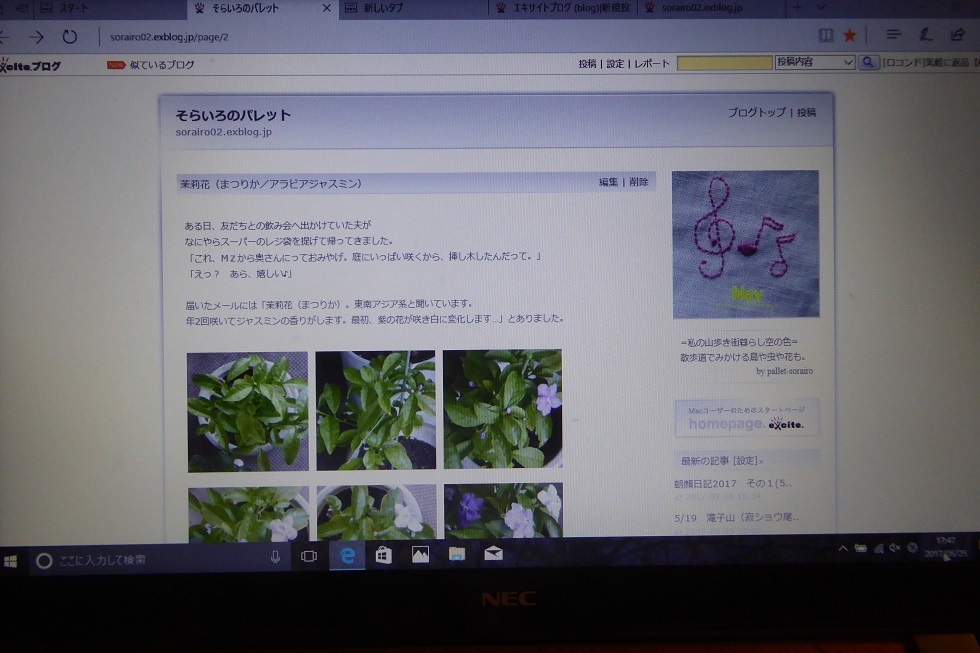 d0288144_17540020.jpg