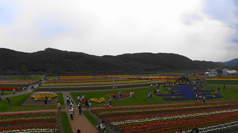 e0321848_22061791.jpg