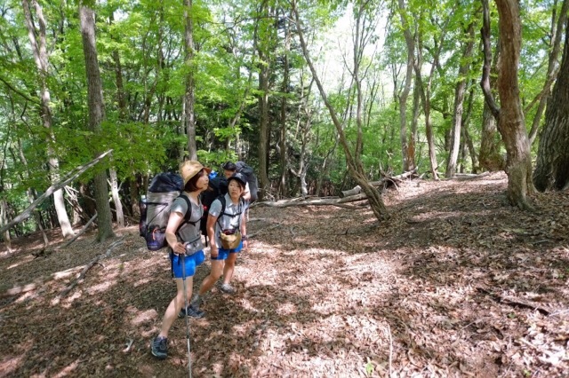 e0329049_17535392.jpg