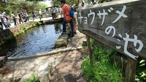 d0068151_10155490.jpg