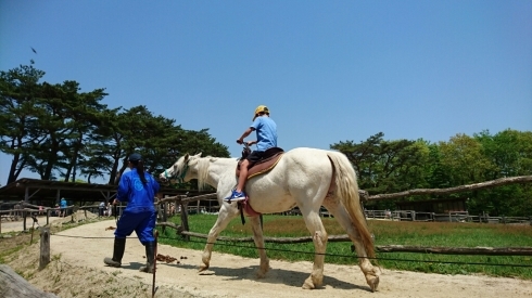 d0068151_10160066.jpg