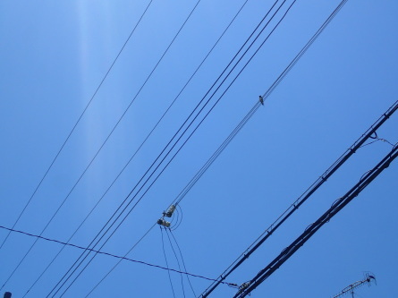 e0188555_14185846.jpg