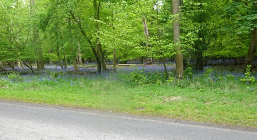 e0010856_6313970.jpg