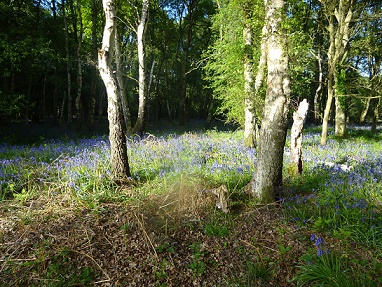 e0010856_6561169.jpg