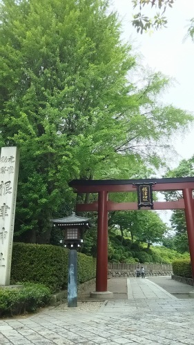 f0310557_19443453.jpg