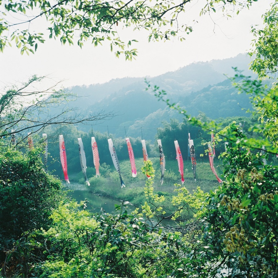 e0264158_15520206.jpg