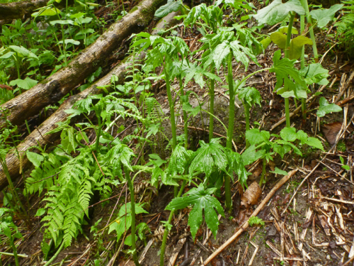 b0277159_22065280.jpg