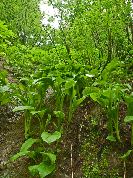 b0277159_22094505.jpg