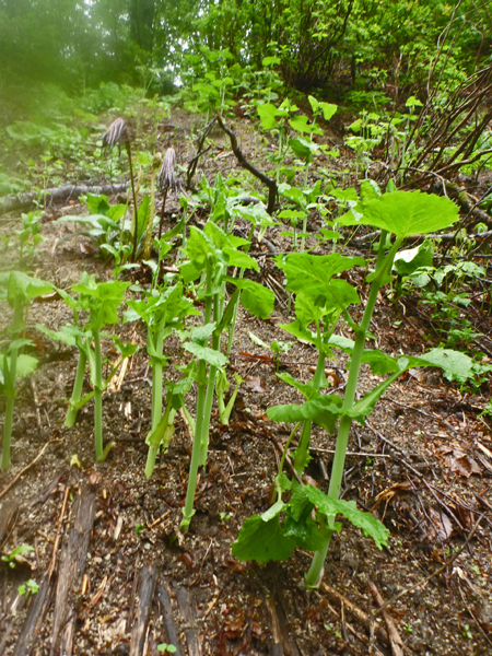 b0277159_22113899.jpg