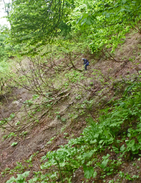 b0277159_22151544.jpg