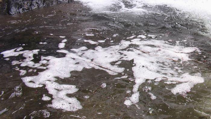 b0208961_8405192.jpg