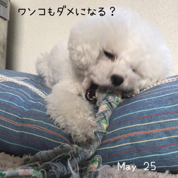 f0322570_17094695.jpg