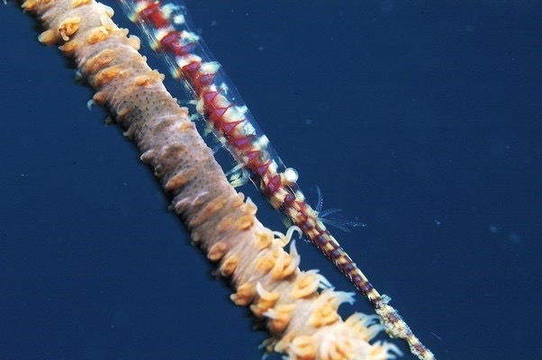 c0039073_23522039.jpg