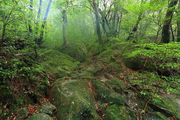 e0213873_19144659.jpg