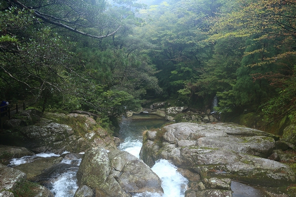 e0213873_19172837.jpg