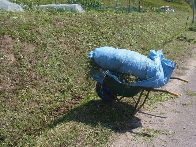 e0148077_1111912.jpg