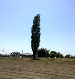 f0222378_165415.jpg