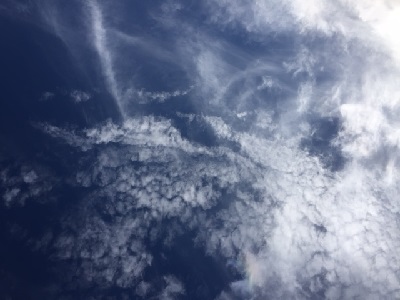 f0005081_22404100.jpg