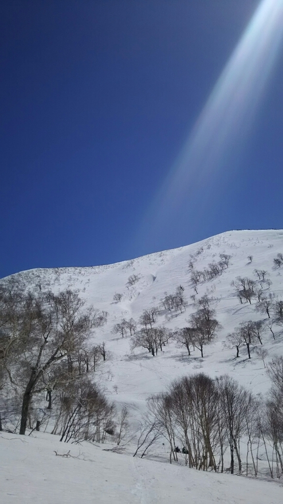 f0297492_00104418.jpg
