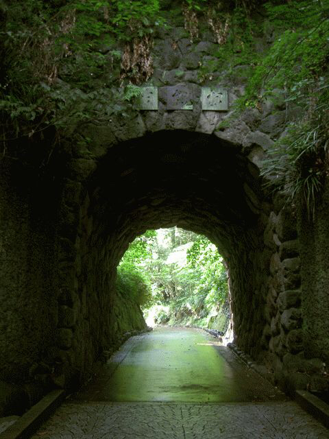 e0152493_22261306.jpg