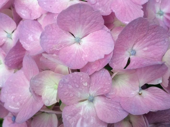 f0201297_07475093.jpg