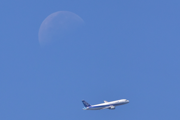 c0049299_21434936.jpg