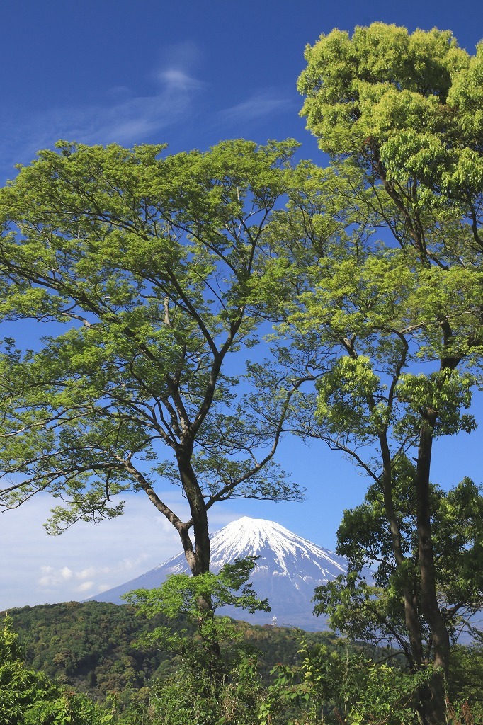a0188405_08235226.jpg