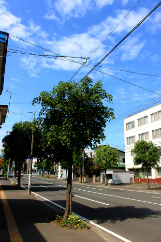 a0139912_08501965.jpg