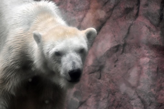 a0151913_122679.jpg
