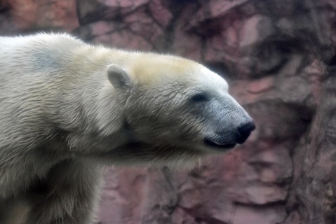 a0151913_1273460.jpg