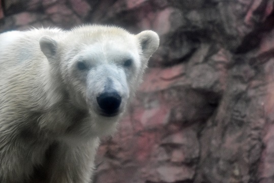 a0151913_1425232.jpg
