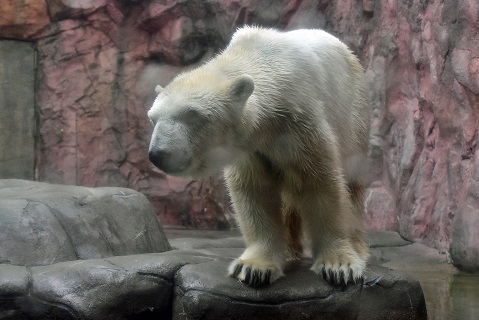 a0151913_155722.jpg