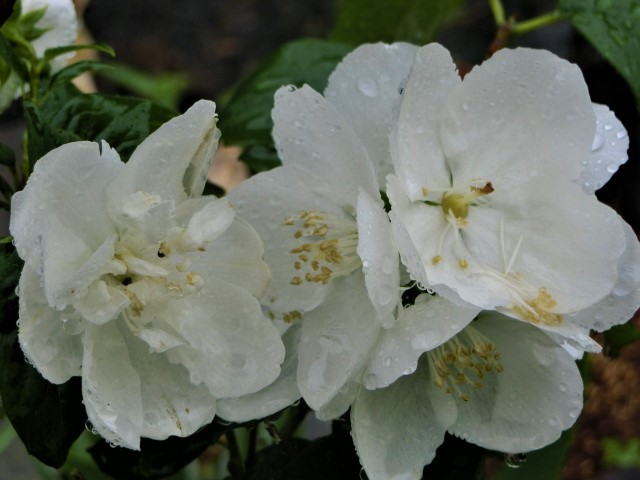 f0354923_22594380.jpg