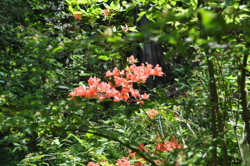 d0053832_14095634.jpg
