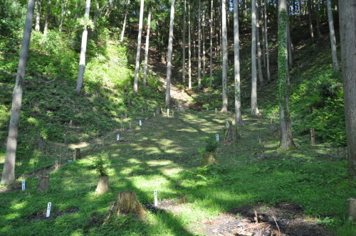 d0053832_14163992.jpg